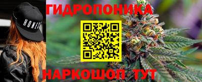спиды Свободный