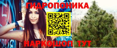 спиды Свободный