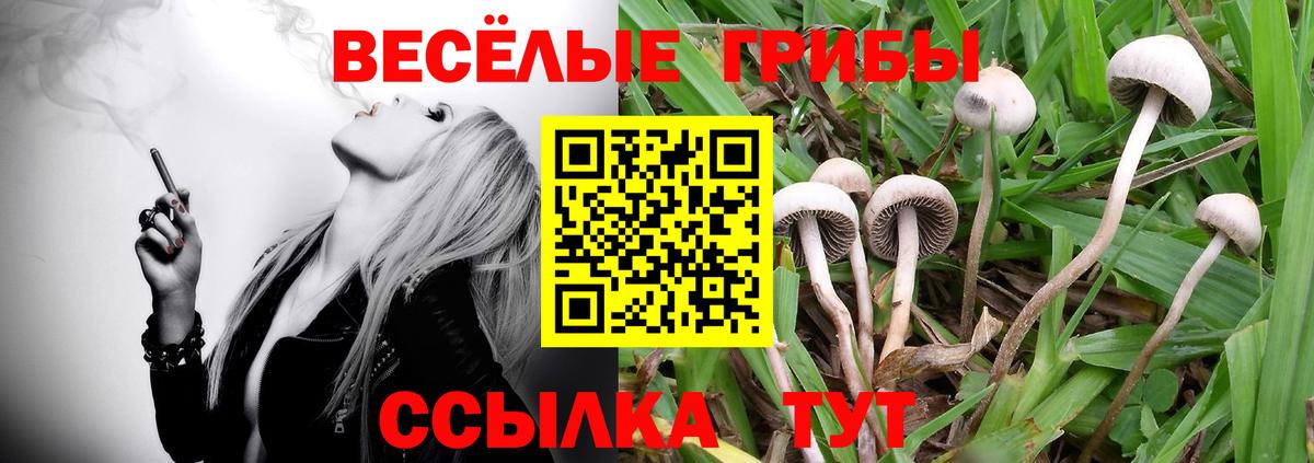 Печора  Галлюциногенные грибы Psilocybe  купить наркотик  Псилоцибиновые грибы GOLDEN TEACHER  Вход с VPN 